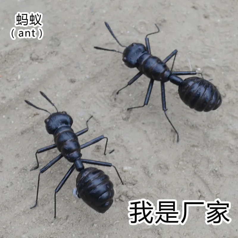 Online Buy Wholesale model ant from China model ant