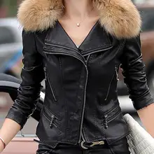 M-5XL, лидер продаж, коллекция года, весенне-осенняя MS, новая модная короткая хлопковая куртка маленькое пальто с воротником