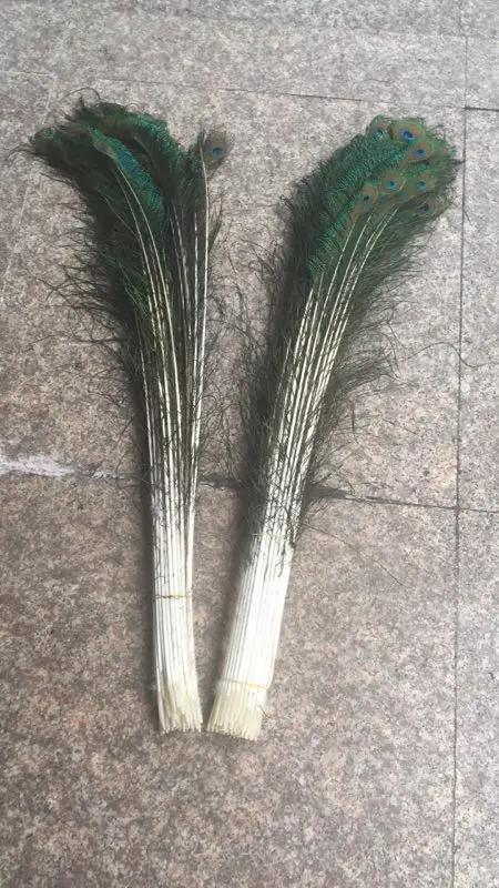 50 Pieces Of Natural Peacock Feathers 70 80cm Diy Wedding Vase