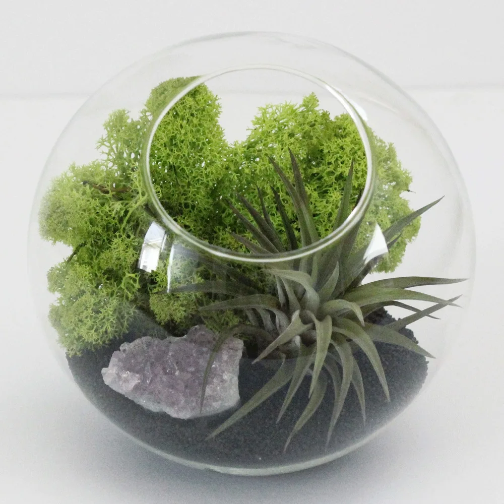 indoor moss garden kit popular indoor plant nursery buy cheap indoor plant nursery lots from china indoor plant nursery indoor moss garden kit popular indoor plant nursery buy cheap indoor plant nursery lots from china indoor plant nursery