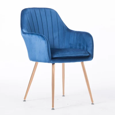 Нордический стиль кованого железа макияж стул спальня стул для маникюра спинка роскошный стул для столовой