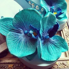 HAHAFLOWER/Вьетнамки; пляжные сандалии; шлепанцы; женские простые босоножки на танкетке; повседневная женская обувь; коллекция года