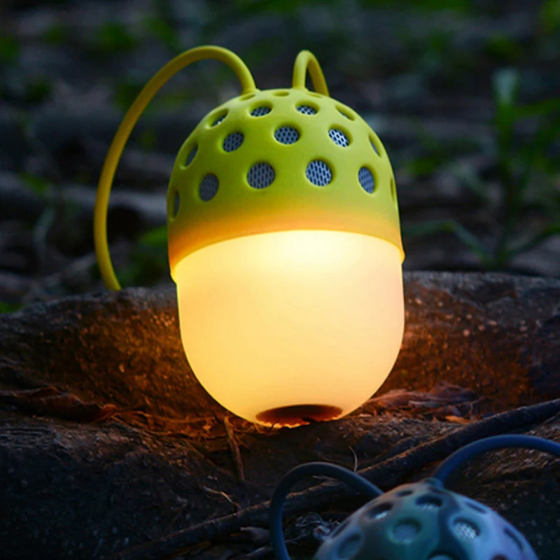 wireless bluetooth portable speaker (2)