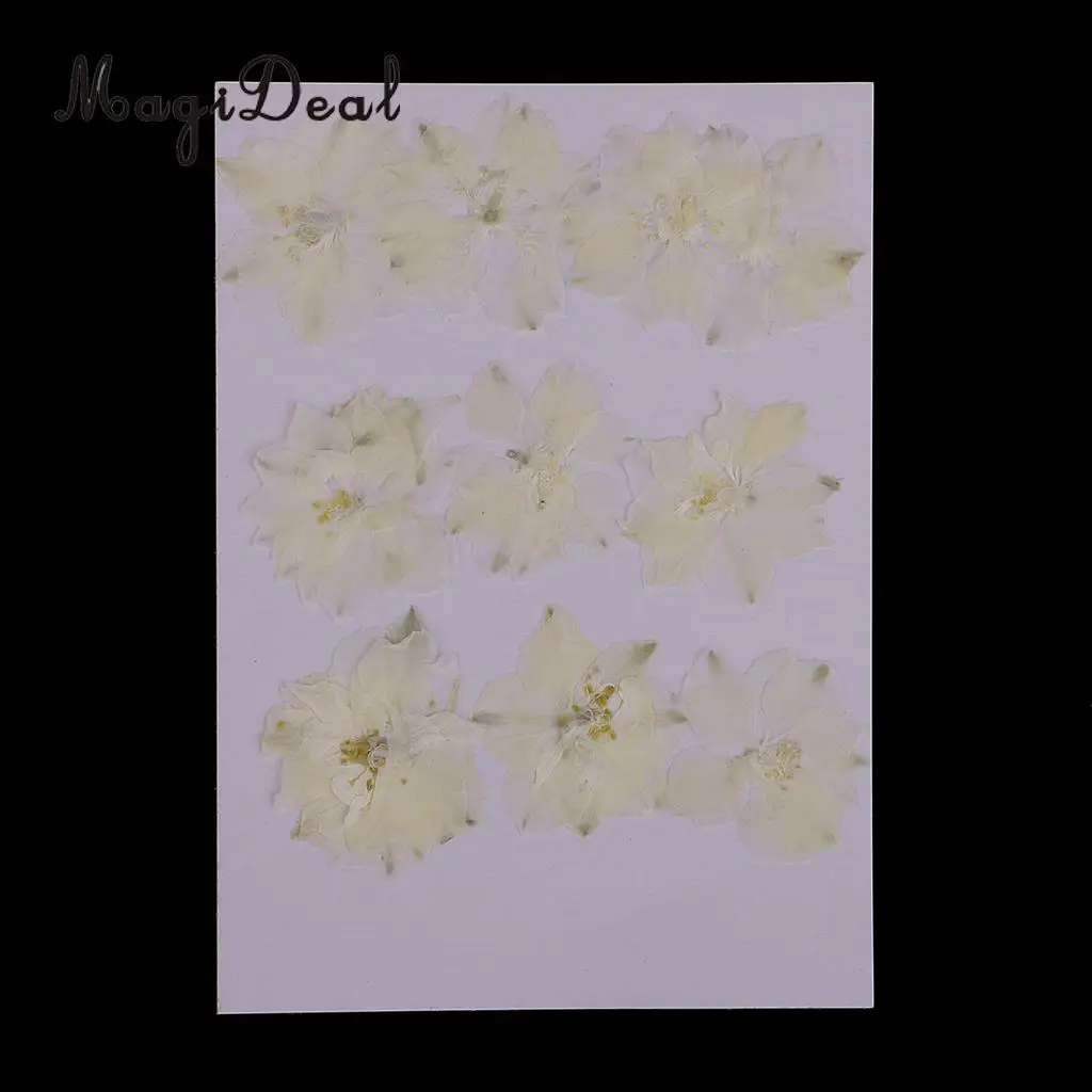 10 / 20Pcs Beautiful Real Pressed Rose Petal Babysbreath Flowers Dried Flowers for Art Craft Scrapbooking DIY Resin Jewelry