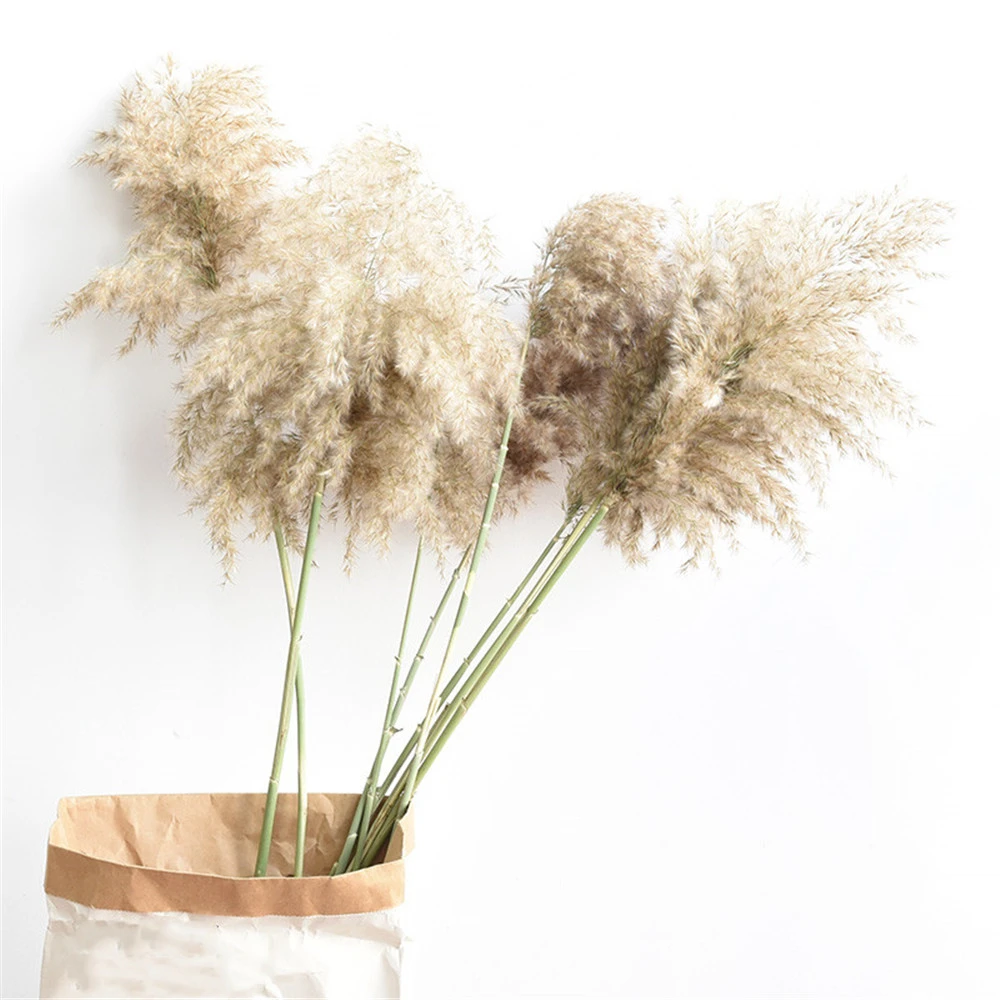 15Pcs Natural Dried Pampas Grass Bundle Art Grasses Home Wedding Flowers Decor