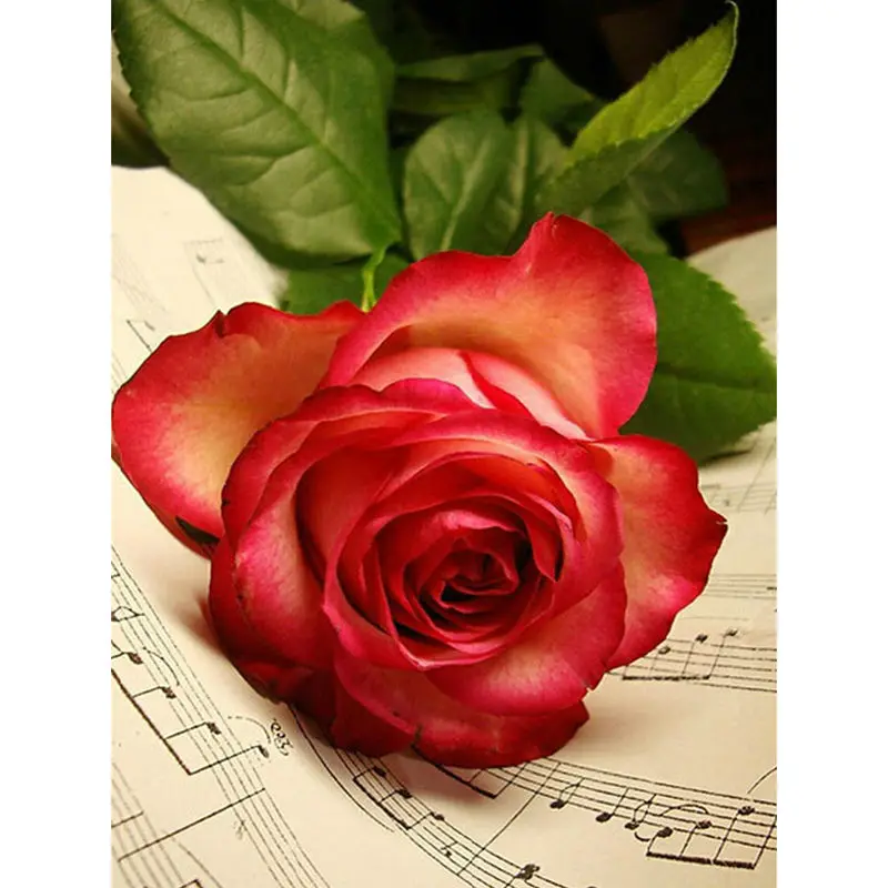 5d Diy Diamond Painting Cross Stitch Kits Full Pink Rose Diamond Embroidery Handicrafts Drill Mosaic Picture Decoration for Home