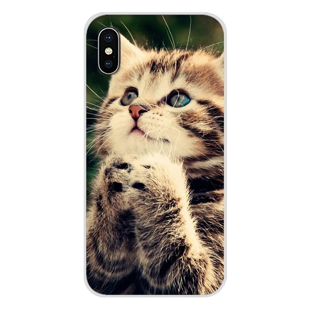 Силиконовые чехлы для телефонов милые молитвенные котята коты Apple iPhone X XR XS MAX 4 4S 5