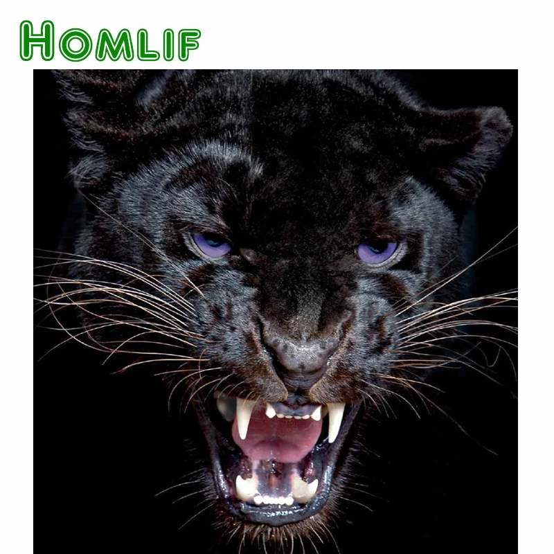 HOMLIF 100% Полный 5D Diy Алмазная картина с пантерой 3D полная Вышивка Животных глаз