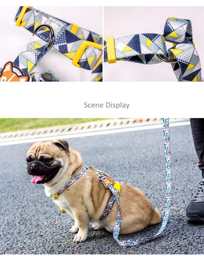 Dog Collars  (20)