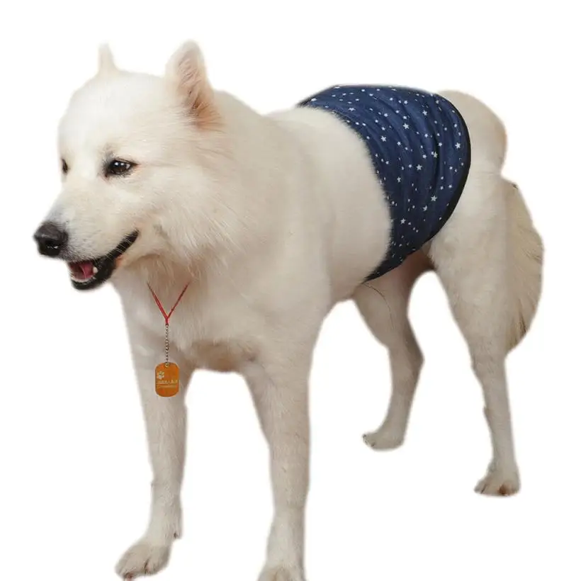 

Lovely Cool Fashion Dog Clothes Big Dog Pet Physiological Pants Golden Retriever Male Samoyed Dogs Sweat Clothes Dog Clothes