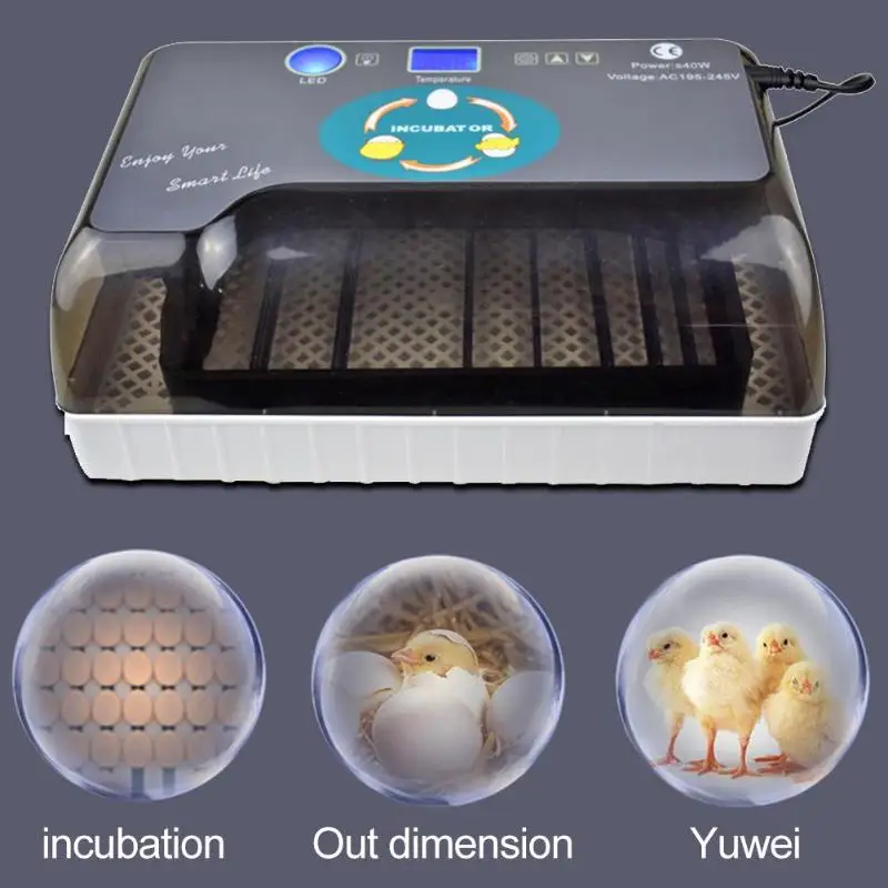 Цифровой инкубатор для яиц, автоматический интеллектуальный инкубатор для яиц, инкубаторы для курицы, утки, птицы, Перепелиных яиц