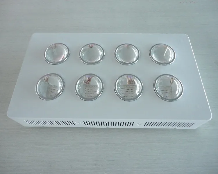 2 (1)