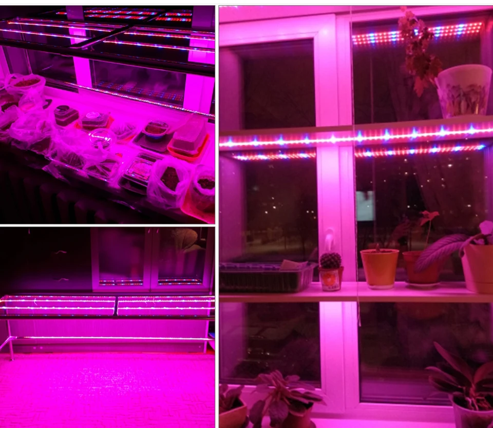 LED Grow Light Strip Tape Set DC12V Phytolamp Touch Switch Fitolamp (18)