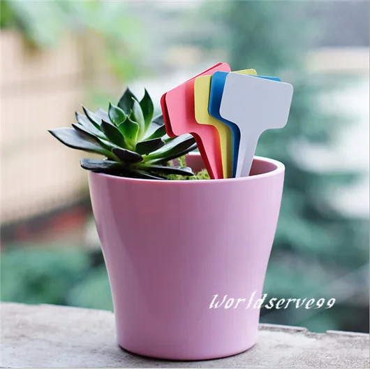 100 шт. пластиковые ярлыки для растений|diy garden decor|garden stakesplastic stakes |