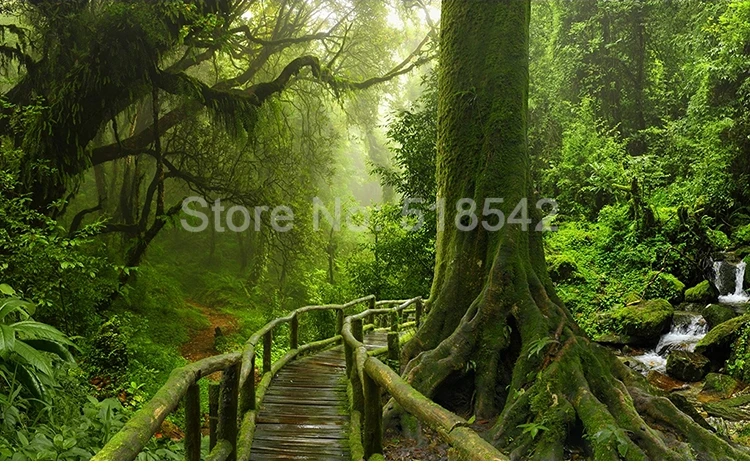 Custom 3D Wallpaper Green Big Tree Nature Landscape Forest Photo Mural Wall Paper For Bedroom Living Room Sofa TV Background Art