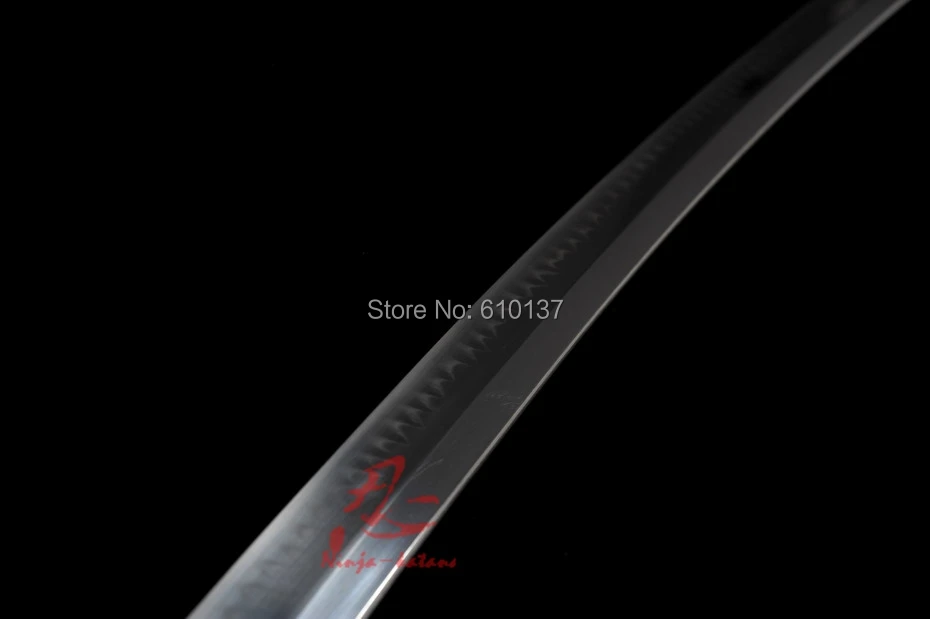 hs17705.jpg
