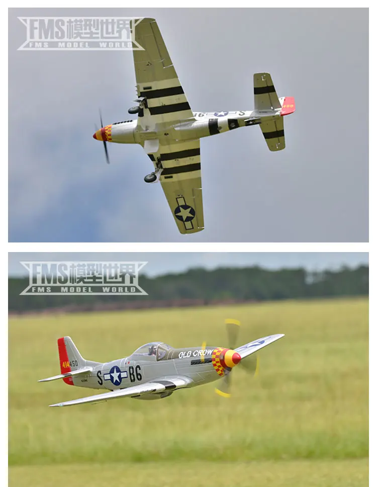 P51D6