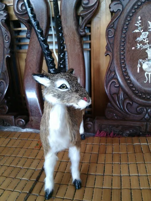 aeProduct.getSubject()