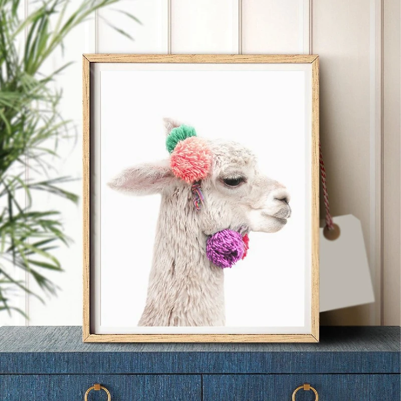 Baby Alpaca Canvas Print