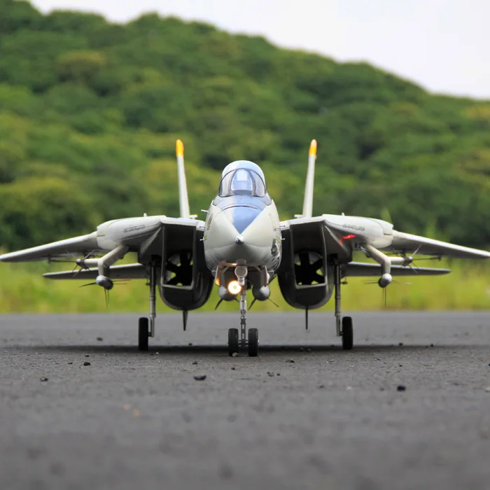 Freewing Twin 80mm rc airplane jet model F14 F-14 Tomcat with Variable Sweep Wing KIT with servos