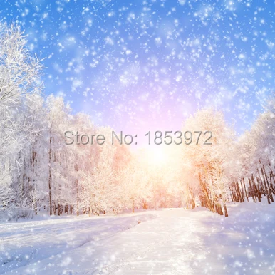 

10X10ft photography background for Christmas vinyl computer printing backdrops Christmas fireplace photography backgrounds ST062