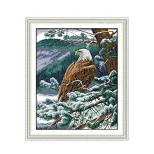 Зимний снег на красивом снегу Набор для вышивания крестиком, орел серии ручной вышивки иглы настенные вышивки декоративные подарки