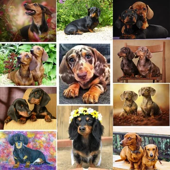 

Diy 5d diamond painting Dachshund rhinestones full square drill diamond embroidery animal cute Dog cross stitch mosaic FR784