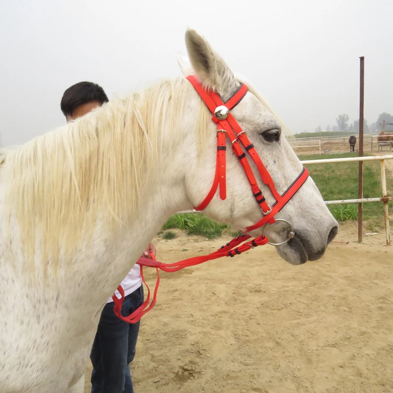 Classic PVC Horse Riding Accessories Equestrian Supplies Full Horse