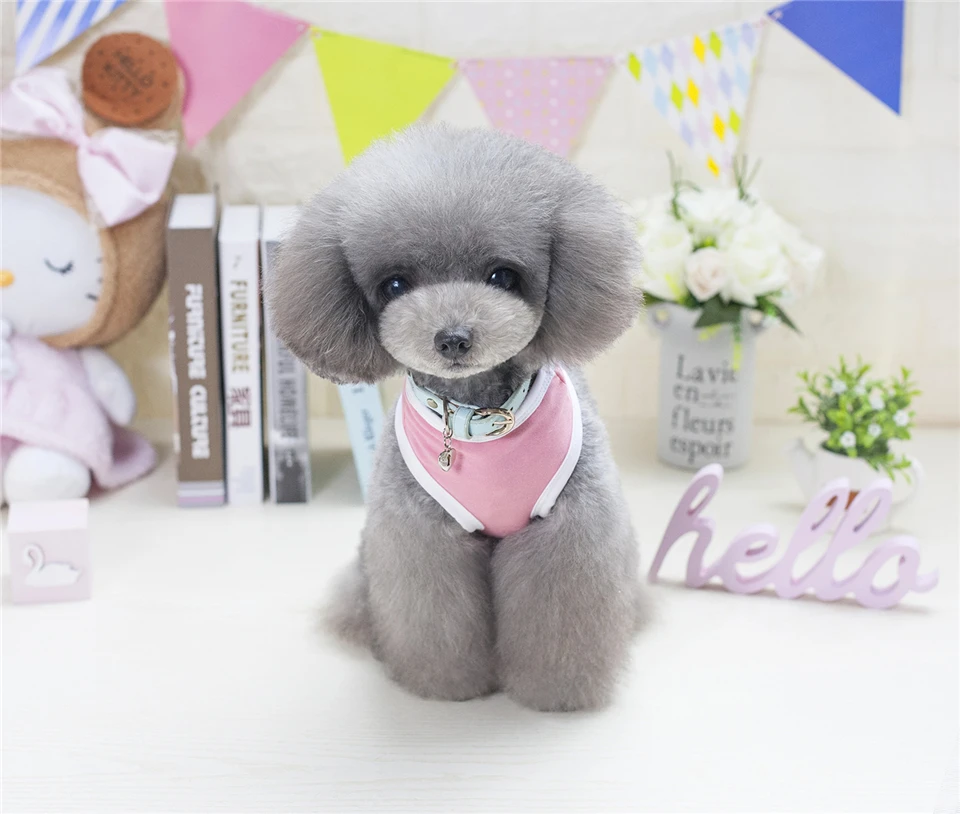 dog clothes summer vest (12)