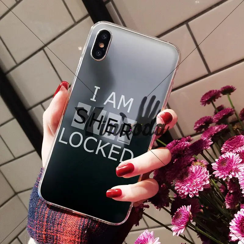 I am Sherlock Holmes Sherlocked