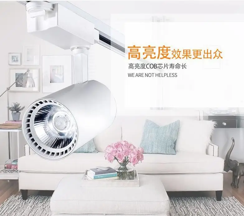 Рисунок 4 - Светодиодный светильник для трека