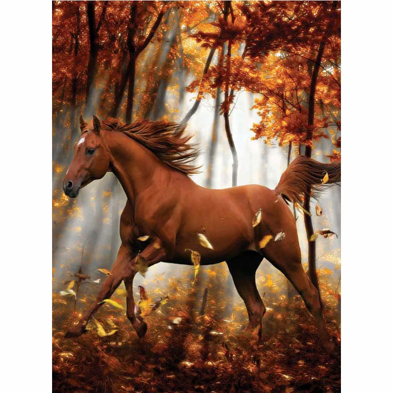 

CHUNXIA Framed DIY Painting By Numbers Animals Horse Acrylic Painting Modern Picture Home Decor For Living Room 40x50cm RA3256