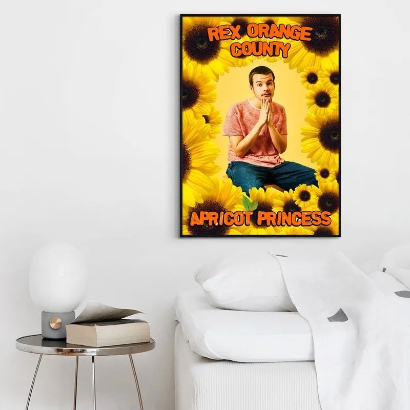 Rex Orange County Apricot Princess Album Pop Music Cover Poster Canvas Prints Wall Art Home Decor for Living Room image 2