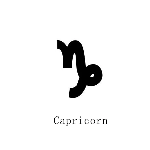 Pipitree, кубический цирконий, 12 знаков зодиака, браслет с подвесками, созвездия, ручная работа, красные браслеты на нитках для женщин и мужчин, подарок на день рождения - Окраска металла: Capricorn