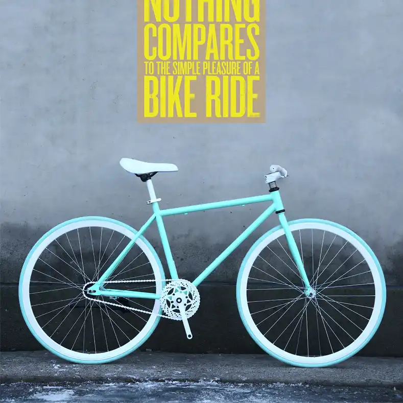 fixie ou single speed