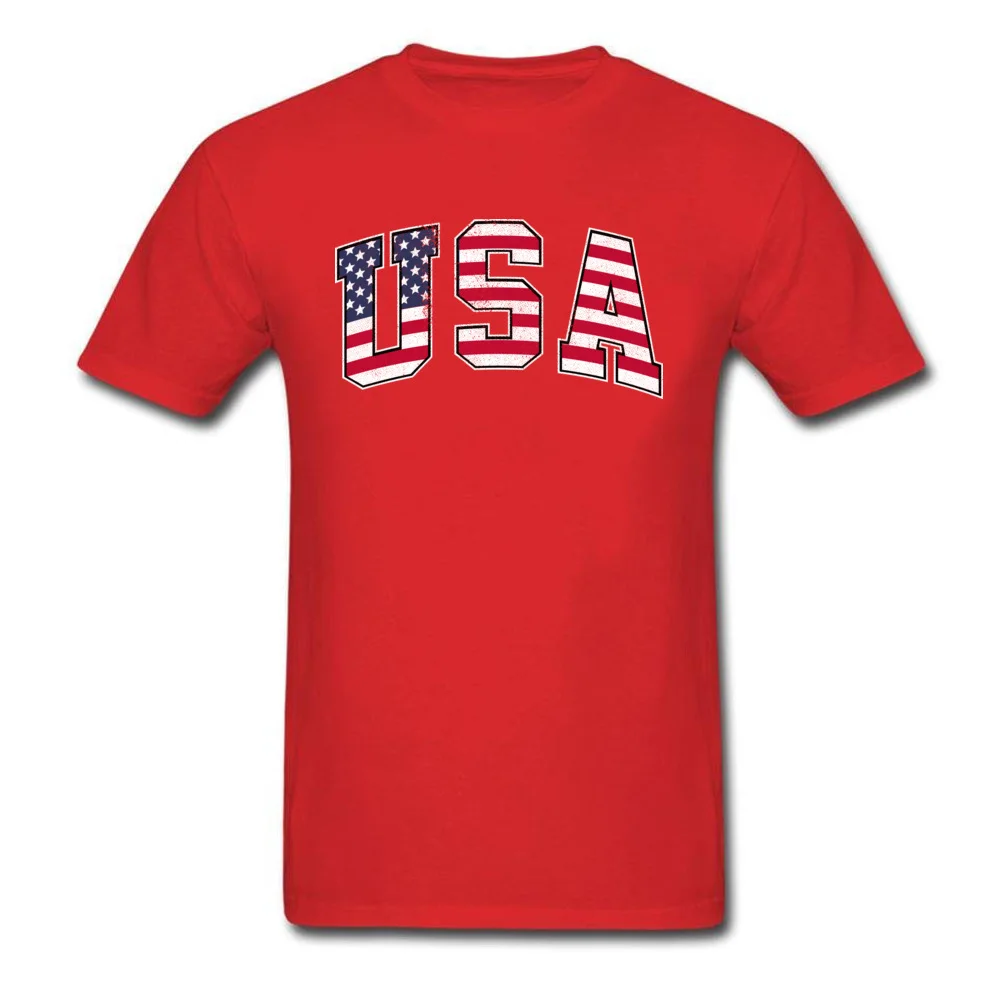 USA Vintage Flag_red