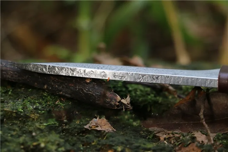 TB2sQWhiFXXXXXiXpXXXXXXXXXX_!!2646315462