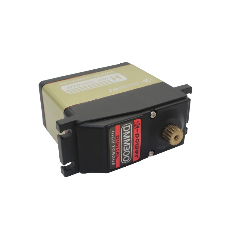 DMM3004