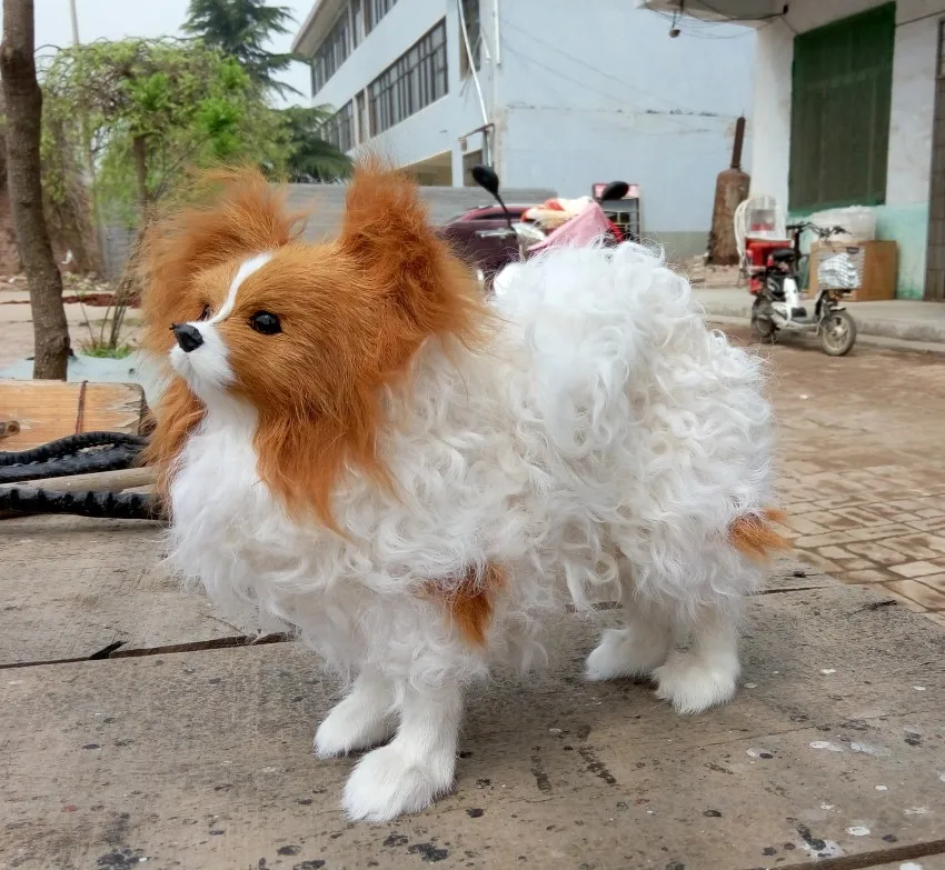 Online Buy Wholesale papillon dog from China papillon dog ...