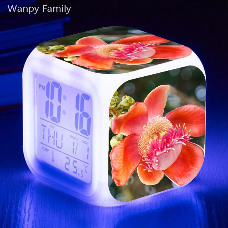 商标7