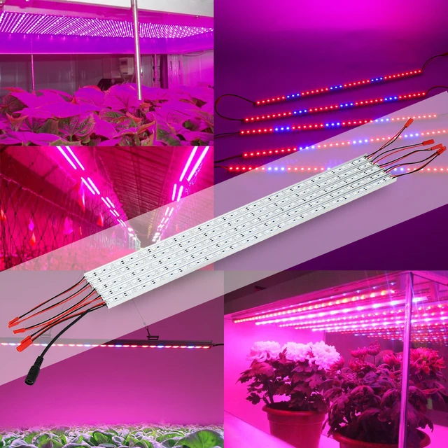 10pcs Lot 0 5m Dc12v 10w Led Grow Light Bars Strips For 10pcs Lot 0 5m Dc12v 10w Led Grow Light Bars Strips For Hydroponic Plant