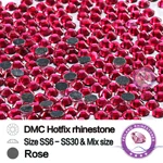 FRS53 Rose