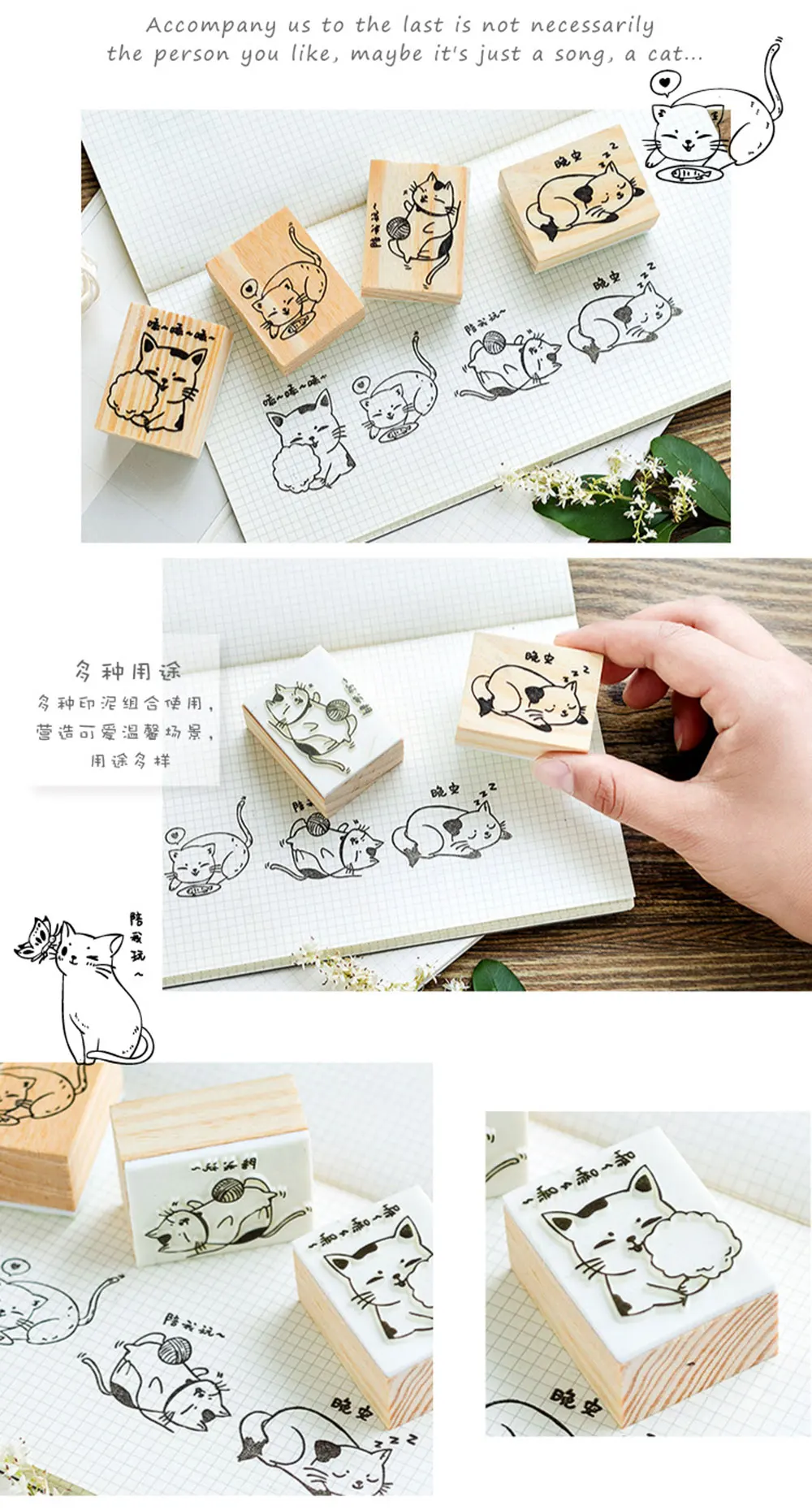 cat_d_ (5)