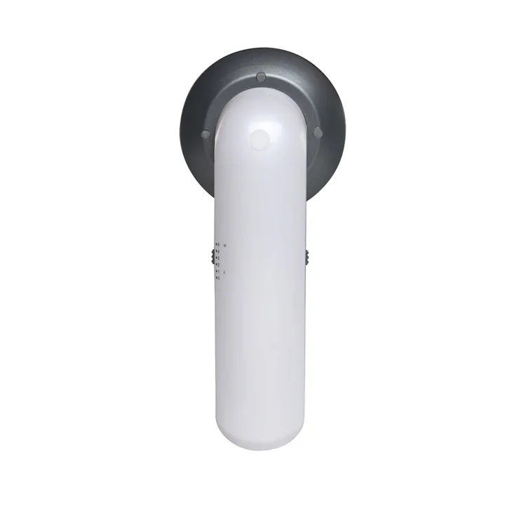 Home-use-best-selling-hand-held-skin (2)