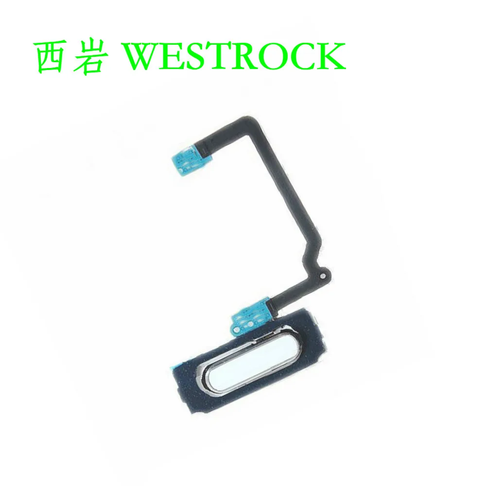 WESTROCK Home Button Keypad Flex Cable Ribbon Replacement