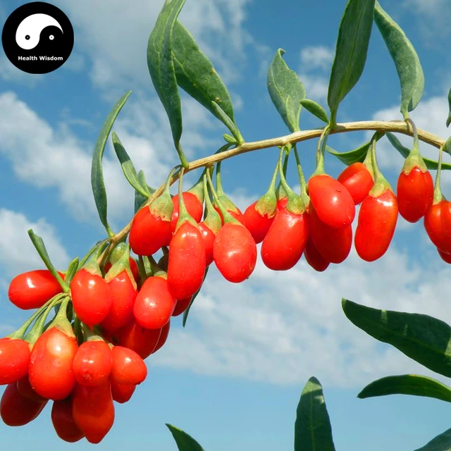 goji bessen bestellen online