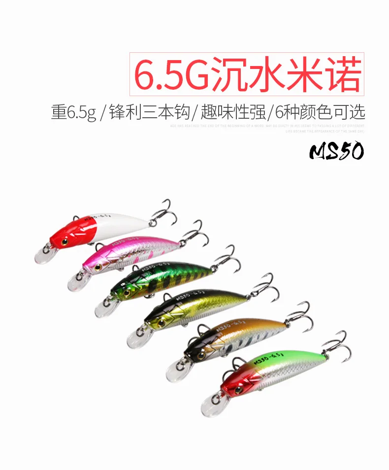 MS50_01