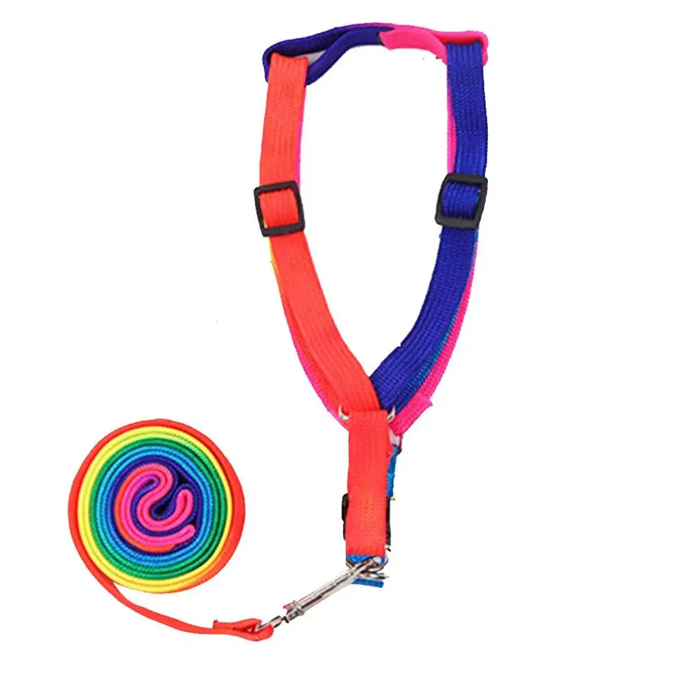 

Colorful Rope Chest Strap Dog Leash With Chain Cute Rainbow Practical Pet Dog Traction Dog Rope