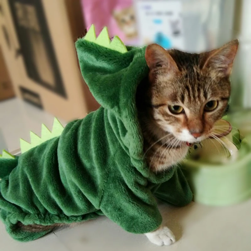 Con Capucha Niños Pequeños Dinosaurio V Cremallera Gato Con Capucha Niños Pequeños Dinosaurio V Cremallera Gato