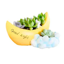 Resin moon Cacti Succulent Plant Pot Flower Planter Mini Garden Design